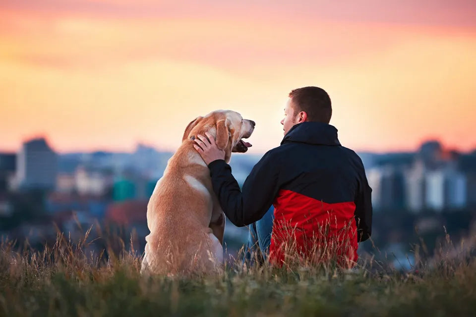 10 Things Only Dog Owners Understand