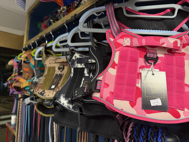 Dog harnesses